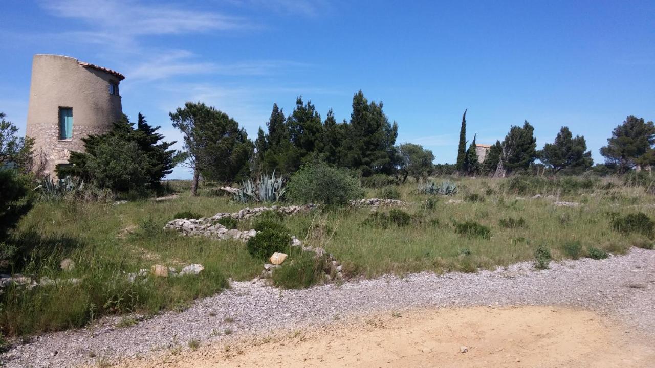Gite la Capelle Roquefort des corbières Aude Esterno foto